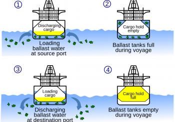 Denmark and China to co-op on ballast water