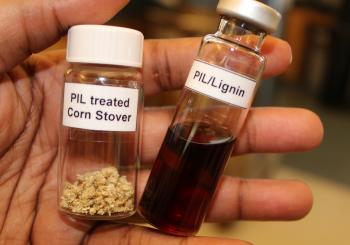 Maersk and Vertoro to work on green lignin marine fuel