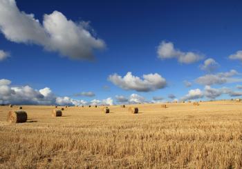 CMP-Green2x biofuel co-op