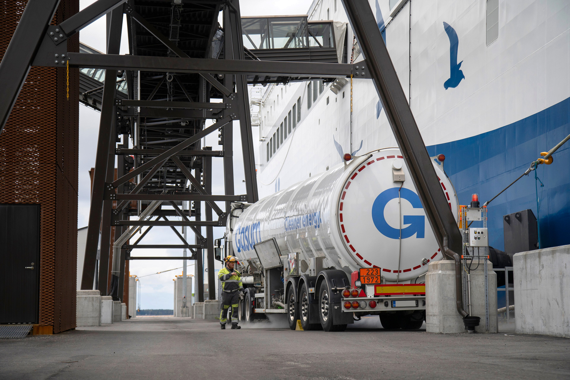 Green Fridays with Wasaline