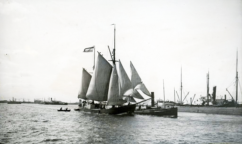 The first sail cargo vessel in EcoClipper's fleet
