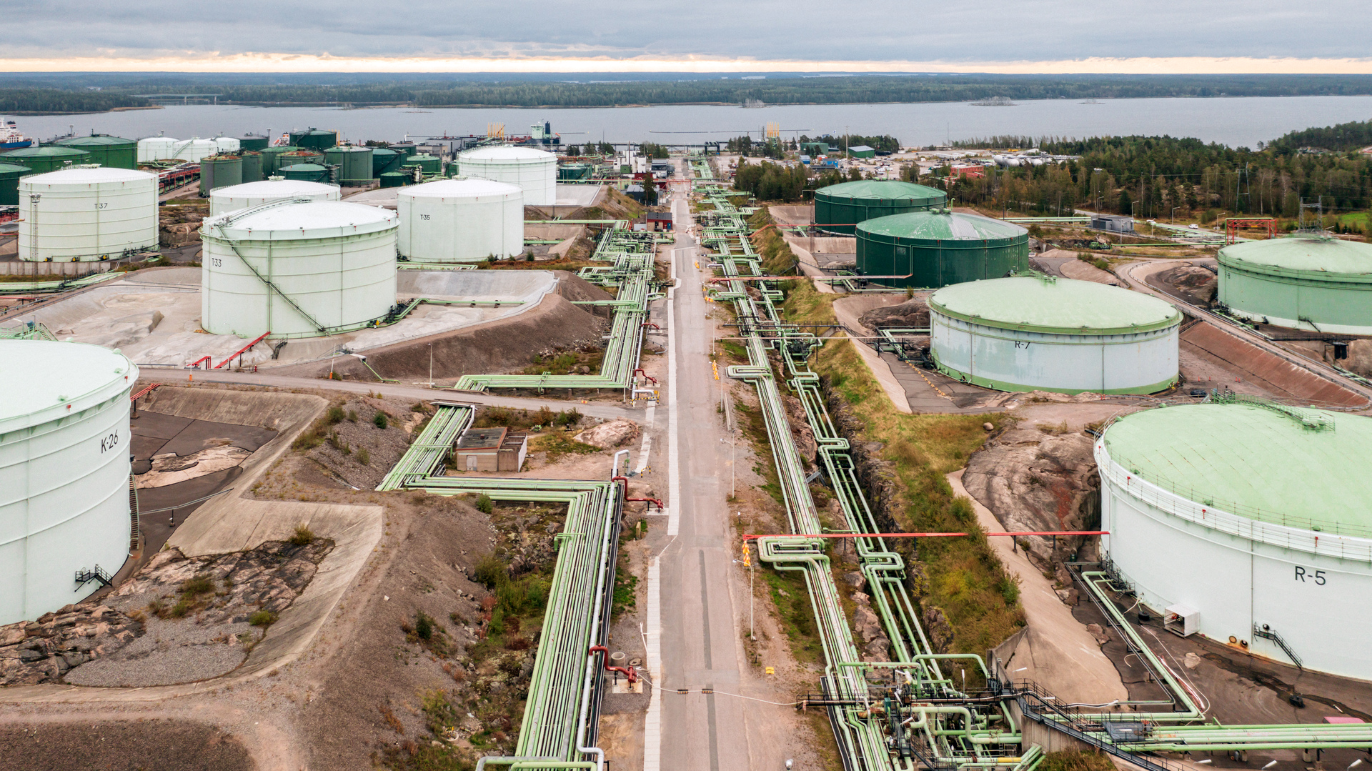 Seaber.io-Neste co-op