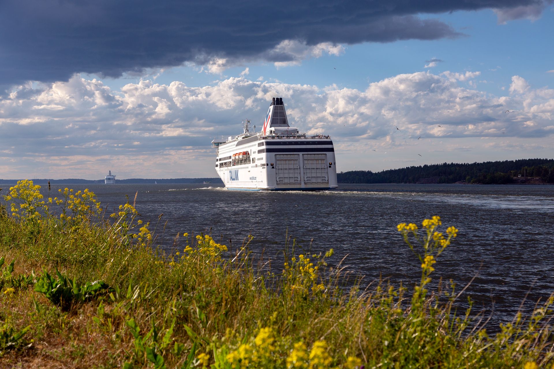 Tallink to unemploy people in Latvia